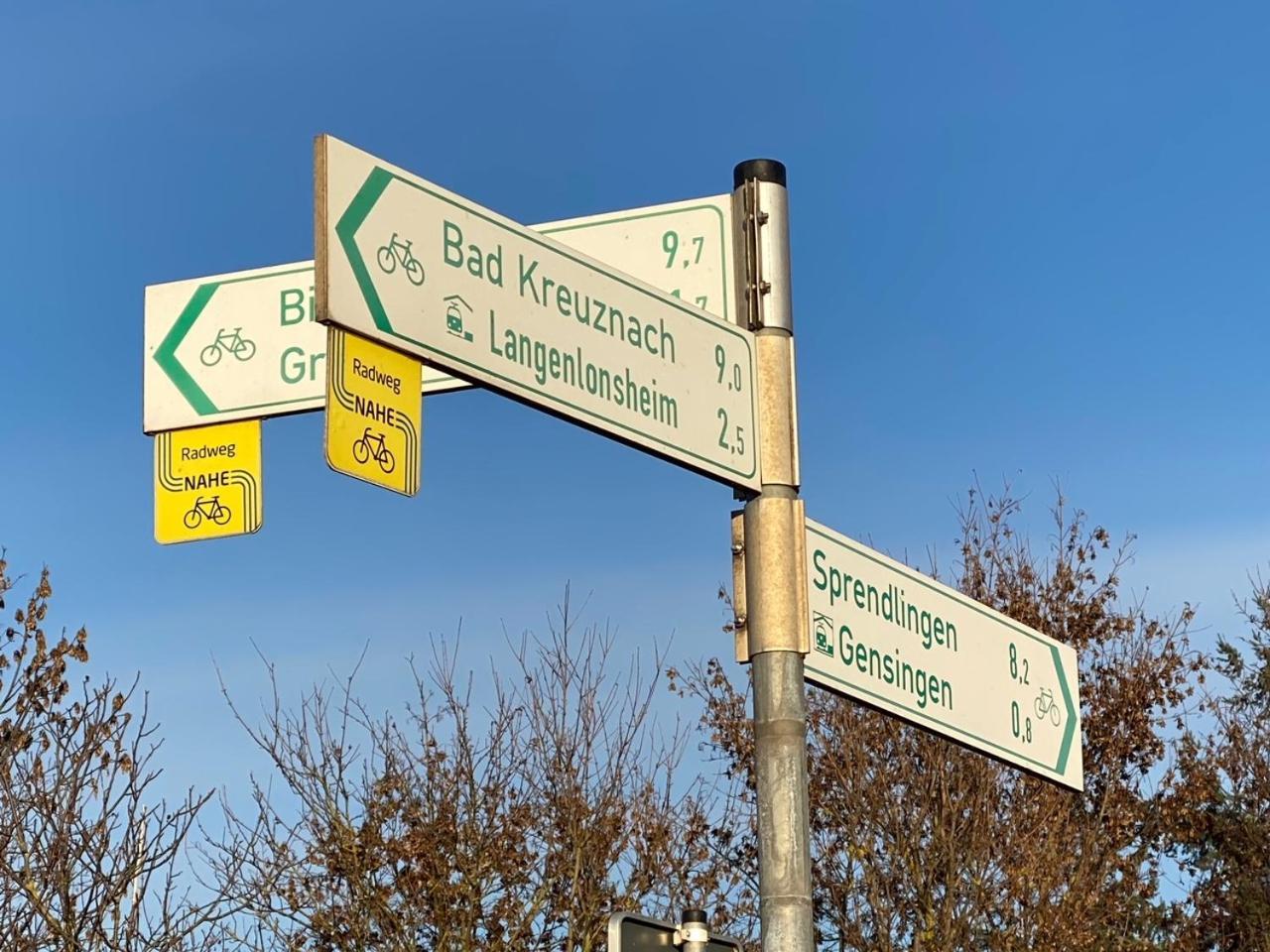 Ferienwohnung Kilz In Gensingen An Der Nahe Bagian luar foto